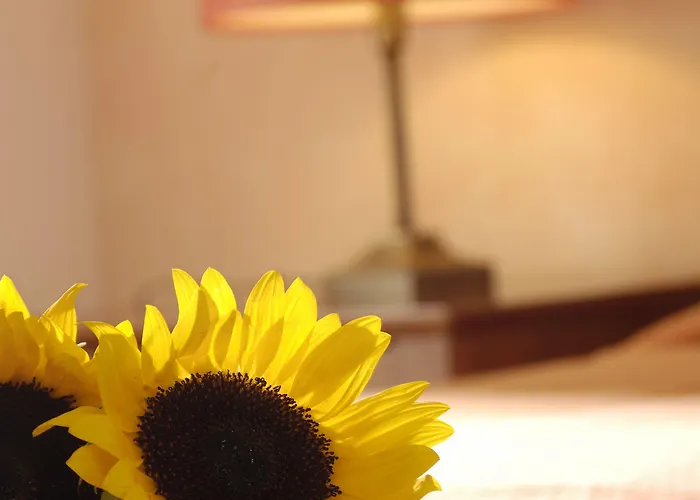 ثارو أوف ميكونوس بوتيك Mykonos Town