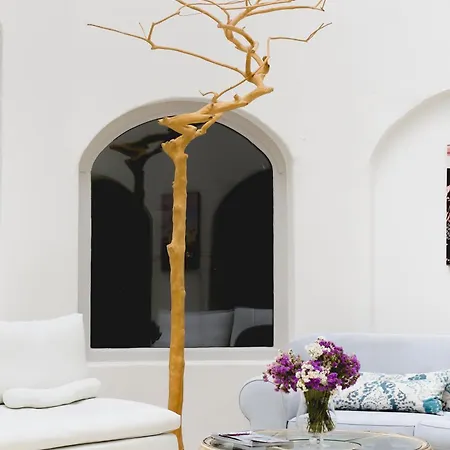 Tharroe Of Mykonos Boutique Hotel Mykonos Town