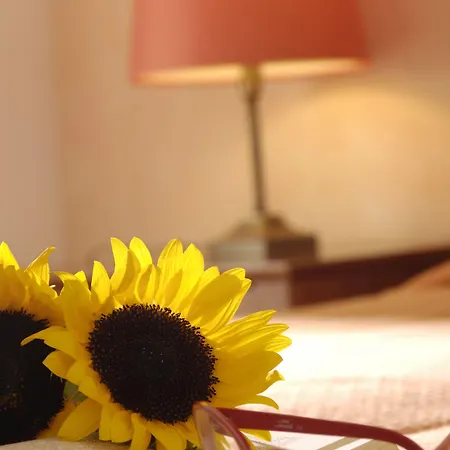 萨罗米科诺斯精品酒店 Mykonos Town