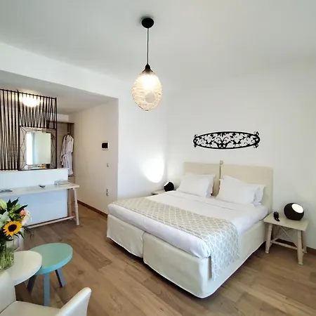 萨罗米科诺斯精品酒店 酒店 Mykonos Town