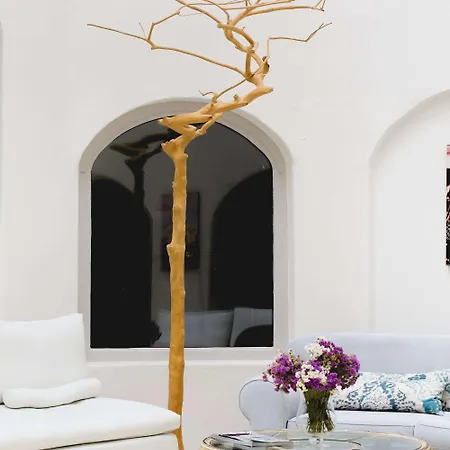 Hotel Tharroe Of Mykonos Boutique 5*