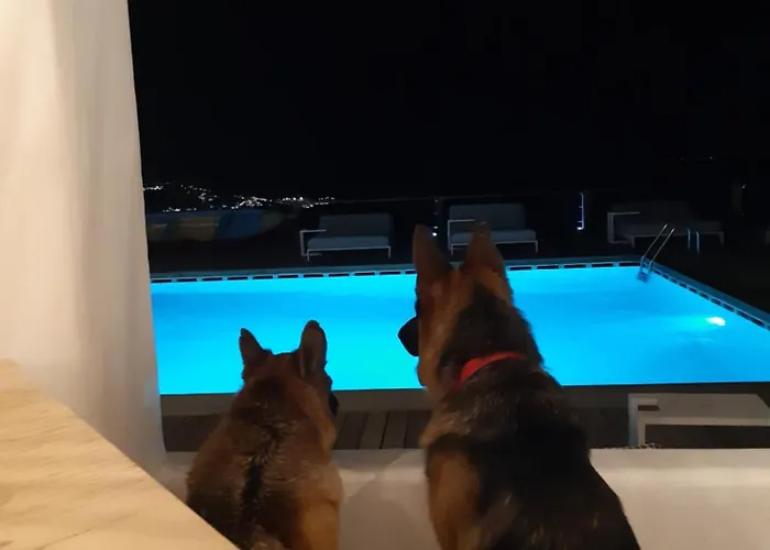 タロエ オブ ミコノス ブティック 5* Mykonos Town